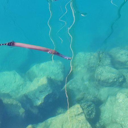 Canaima 306 Πουέρτο Ρίκο Εξωτερικό φωτογραφία